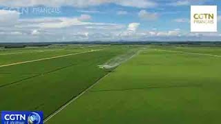 Les Récoltes Agricoles Sachèvent Sur 57 Millions Dhectares De Terres De Chine