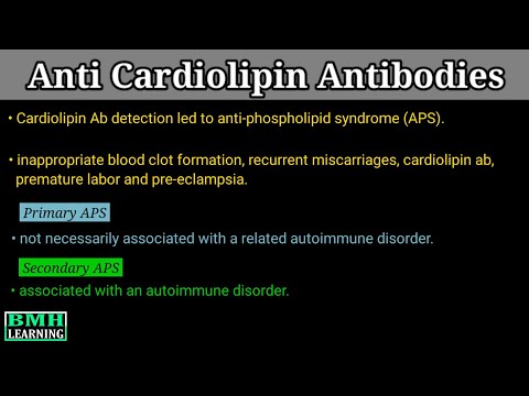 Anticardiolipin Antibody | Antiphospholipid Antibody |Antiphospholipid Syndrome |