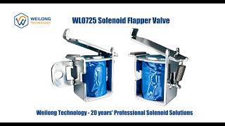 WL0725 Solenoid Flapper Valve