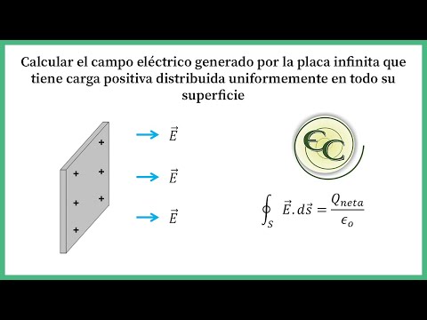 Vídeo: Una placa elèctrica és una placa d'inducció?