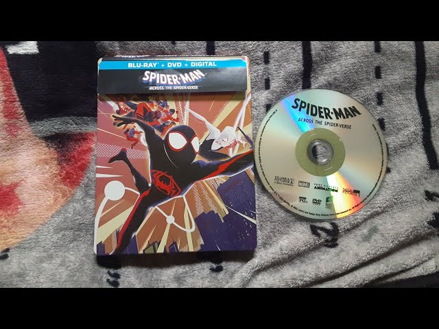 Spider-Man: Across The Spider-Verse - DVD + Digital