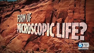 Is Desert Varnish A Pathway To Detecting ‘Alien’ Life?