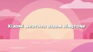 Xiaomi weather alarm