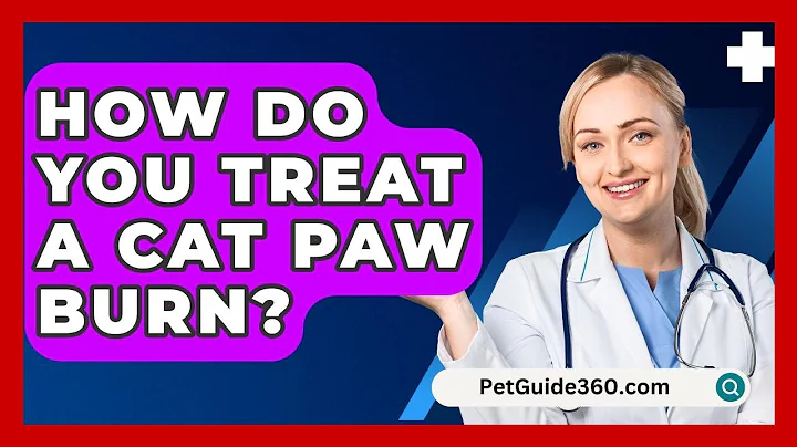 How Do You Treat A Cat Paw Burn? - PetGuide360.com