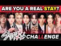 Ultimate stray kids quiz are you a real stay  kpop game