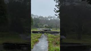 Abandoned fountain in Okinawa, Japan, given new life by the rain. #okinawa #abandonedplaces #rain