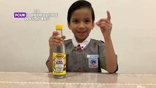 Puffer Fish Science Experiment