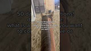 cricket :( | #horse #trending #equestrian #fyp #question #pony #rideforchloe