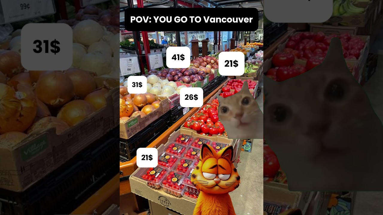 So much snow in Canada even cats learn to snowboard 😹❄️