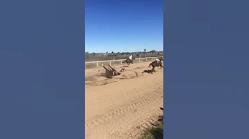 Muerte De Caballo En Plena Carrera 