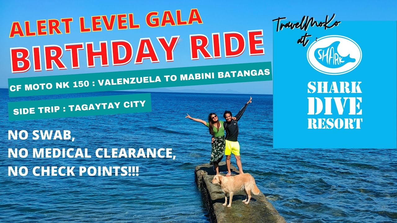 Birthday Celebration Shark Dive Resort YouTube