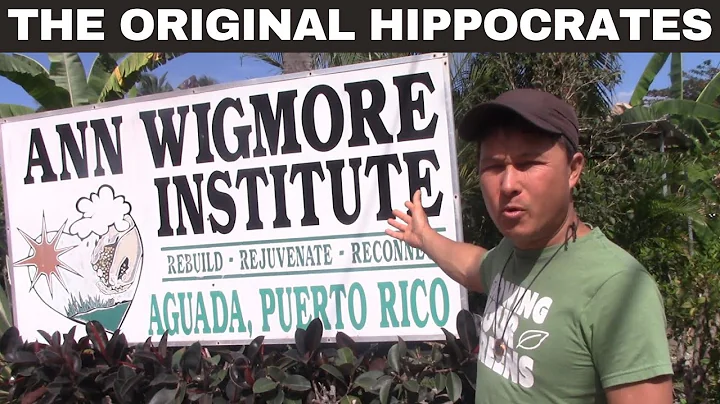 Original Hippocrates Institute - Ann Wigmore Healt...