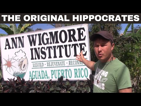 Original Hippocrates Institute - Ann Wigmore Health in Puerto Rico