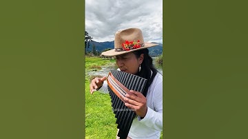 Thumbnail of ATIPAK CHRISTIAN - Cover Pan Flute Instrumental | Porque te vas - Jeanette (В последний раз)