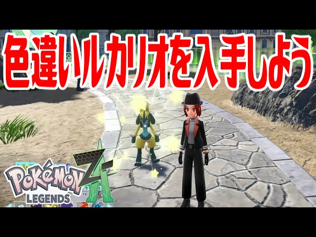 色違いルカリオ13点セット　タグ付き ポケモンZ-A】色違いルカリオを入手しよう【Pokémon LEGENDS Z-A