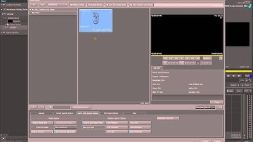 Basic Conforming using AAF or XML