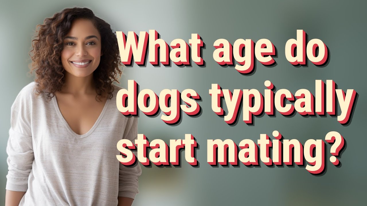What Age Do Dogs Start Getting Adult Teeth