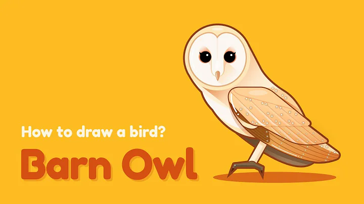 How to draw a bird - Barn Owl? Easy and simple drawing | Animal character design tutorial
