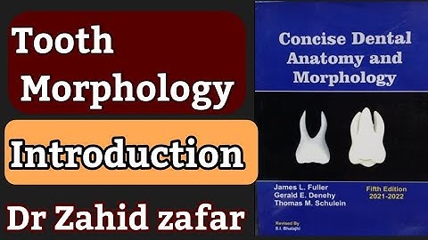 Tooth Morphology |Introduction | #toothmorphology#teeth