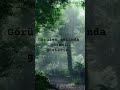 "Görülen aslında göreni gösterir".