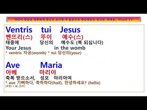 Ave Maria Franz Schubert 가사 해석 Andre Rieu Mirusia 아베 마리아 노래 라틴어 버전 성모 마리아 성모송 팝송풀이 노래방 