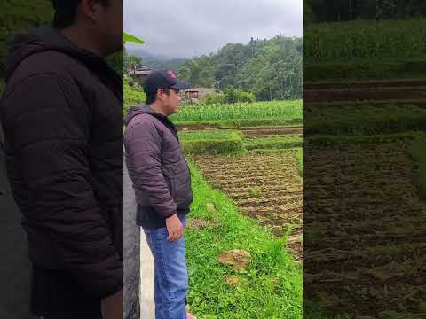 #lamunan #fvpシ #nikensalindri