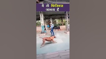 😱⚡ye to physics janta hai #physicsshorts #physicsmemes @VedPrepPhysicsAcademy