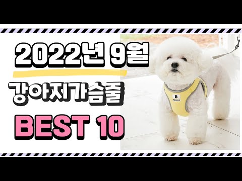 광고 이거 진짜 강추 강아지가슴줄 상품 추천순위 top10