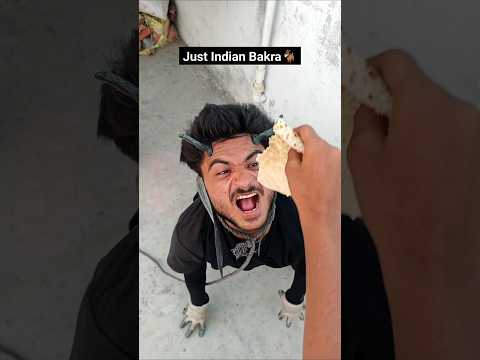 Just Indian Bakra🐐😂 | #shorts #bakra #eidulfitr #hitupvlogger