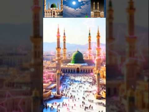 بالمدينة المنورة الشريفة مدينة المحبة التي تروي ظمأ القلوب