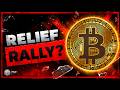 Bitcoin Bear Market Update: What's Next?