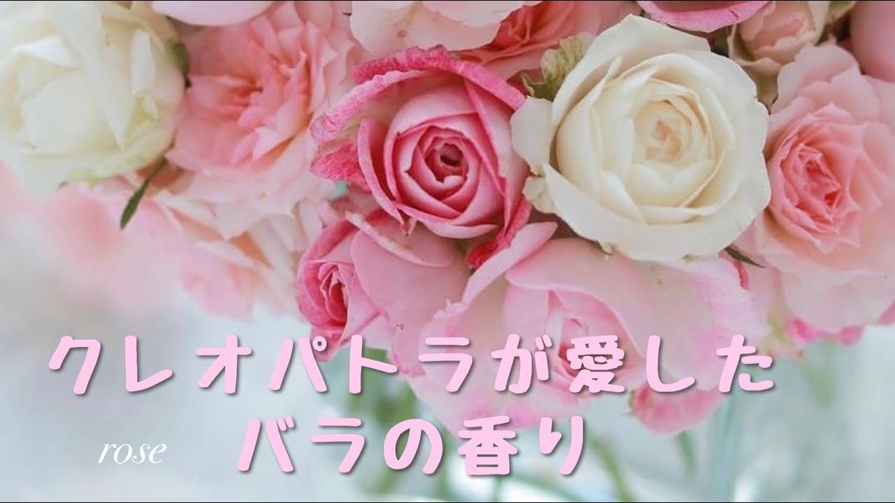 おしゃべり保健室 第65回クレオパトラが愛したバラの香り Youtube