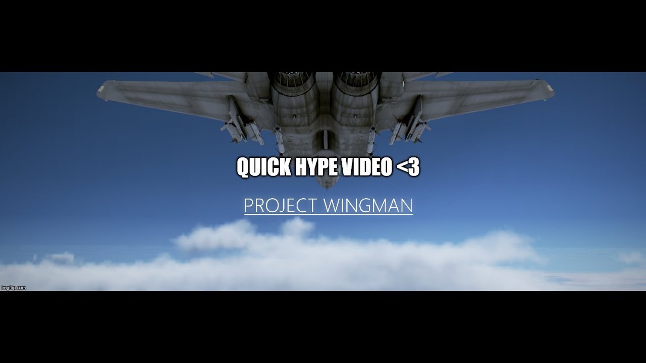 Teaser video for Project Wingman Hype!