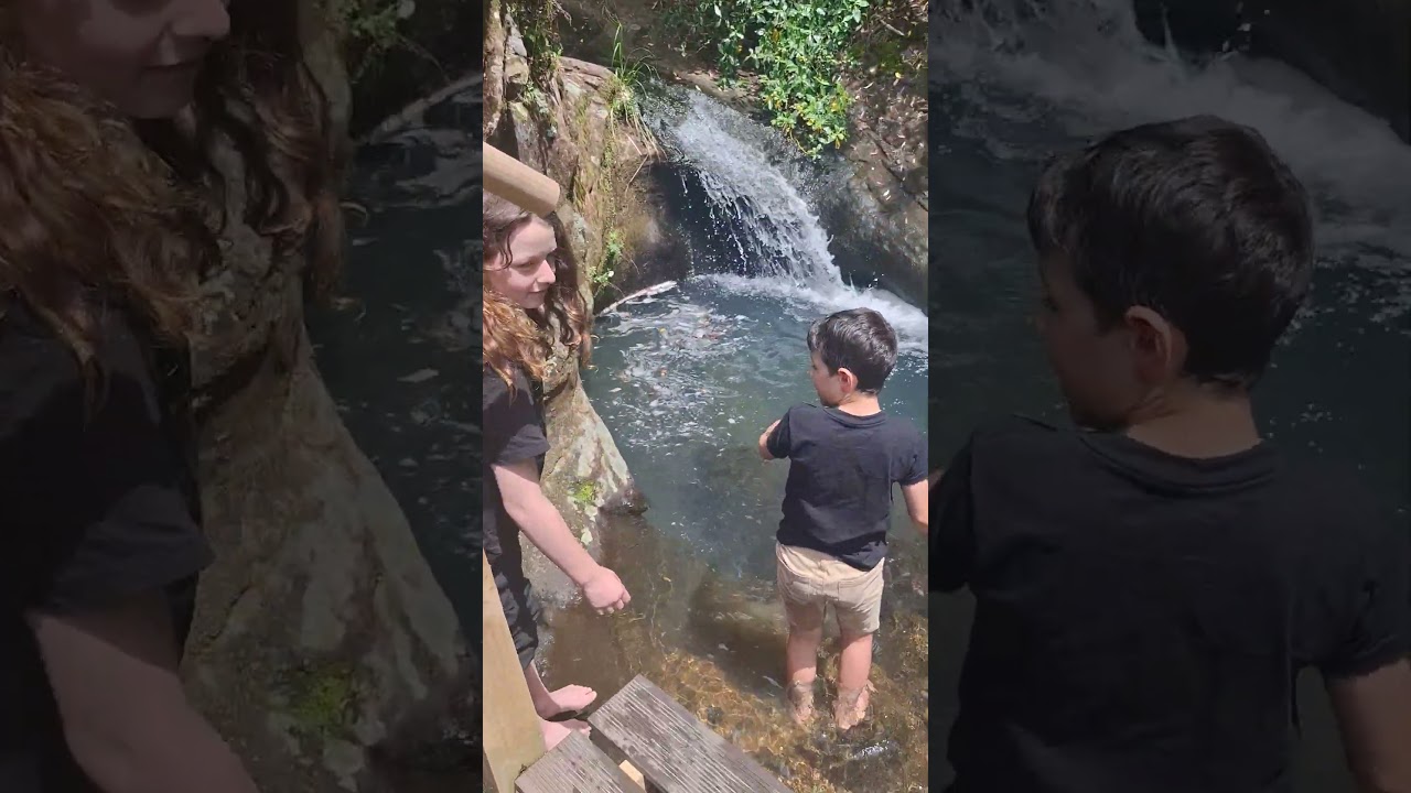 Fairy Falls, Waitakere, Auckland, New Zealand