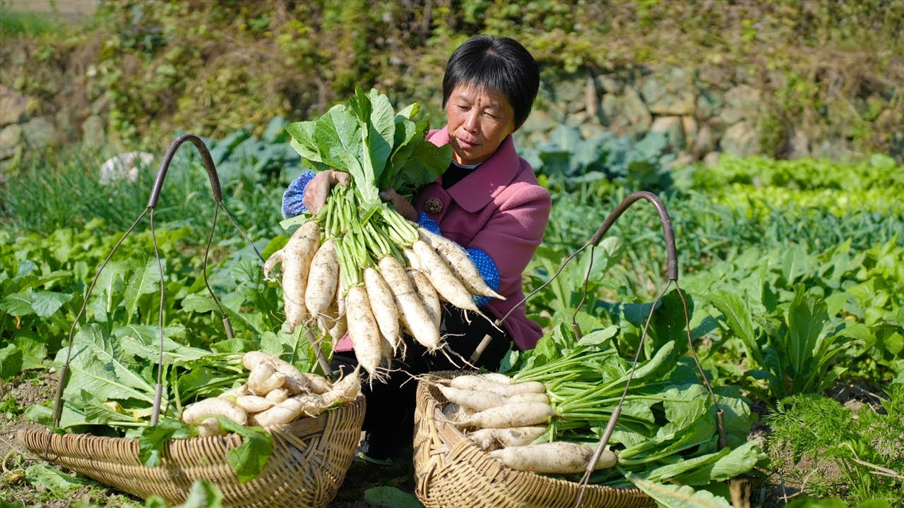 Вытащите редиску одной рукой,засолите редиску,замаринуйте квашеную капусту и засушите вяленую редьку