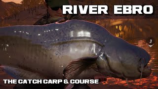 The Catch Carp & Course | River Ebro How To Catch Your First Wels Catfish