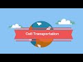 Cell Transport Mechanisms Explained