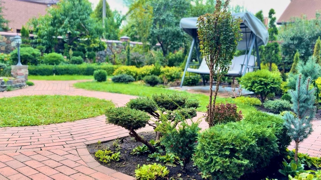 ТРЕТЬЯ ГРЯДКА МИНУС И РАЗМЕТКА НОВОГО УЧАСТКА! ЧИСТКА, ПЕРЕСАДКА ЕЛИ “ACROCONA”, ПОДСЫПКА ЗЕМЛИ! 