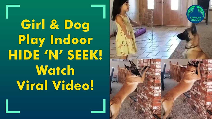 Watch! Cute girl playing 'hide & seek' with pet dog will beat your lockdown boredom