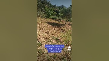 تلاوة من سورة الواقعة بصوت الشيخ جهاد صلاح الدين أبو المقداد القريوتي