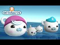 Octonauts - Family Affair