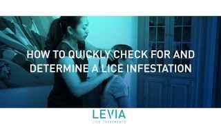 How to Check for Head Lice \& Nits (Lice Eggs) - Video Tutorial