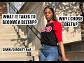 What It Takes To Become A Delta! | Why I Chose Delta! | GRWM/Q&A | Noelle Christina