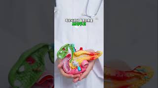 혈액순환 개선! 아르기닌의 놀라운 효능 (feat. 루꼴라) #당뇨 #혈당조절