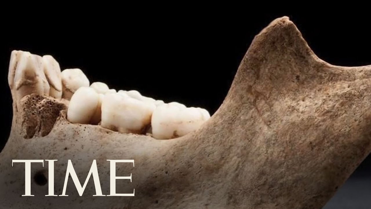 Cannibalism At Jamestown: Listening To The Bones | TIME