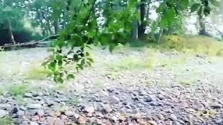 Adventures fishing the Big Quilcene River