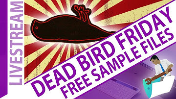 Dead Bird and Open Q&A Friday - Free FileMaker Sample Files from the Viewers
