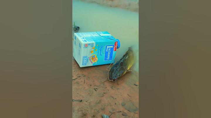 Survival Skills: Single mom with bottle fish trap #survival #camping #bushcraft #fishing #fish