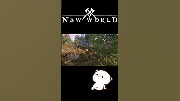 Only reason why you should turn off camera shake...