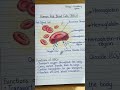 Types of blood cells | #rbc #wbc #platlets